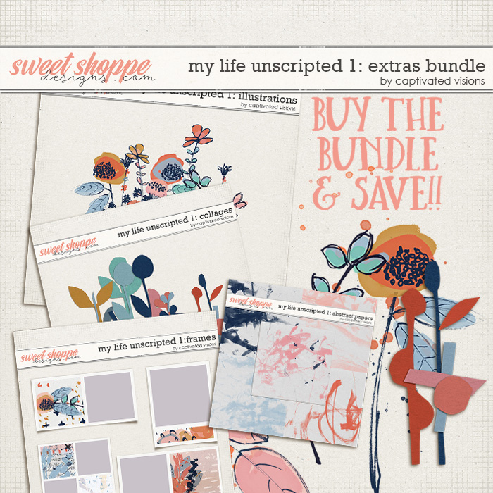 cvisions-mlu1-extrasbundle-700.jpg