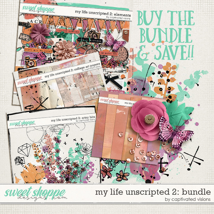 cvisions-mlu2-bundle-700.jpg