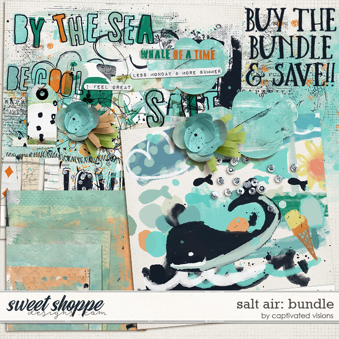 cvisions-saltair-pp-bundle.jpg