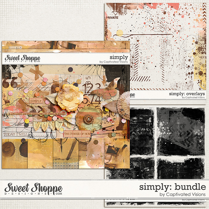 cvisions-simply-bundle.jpg