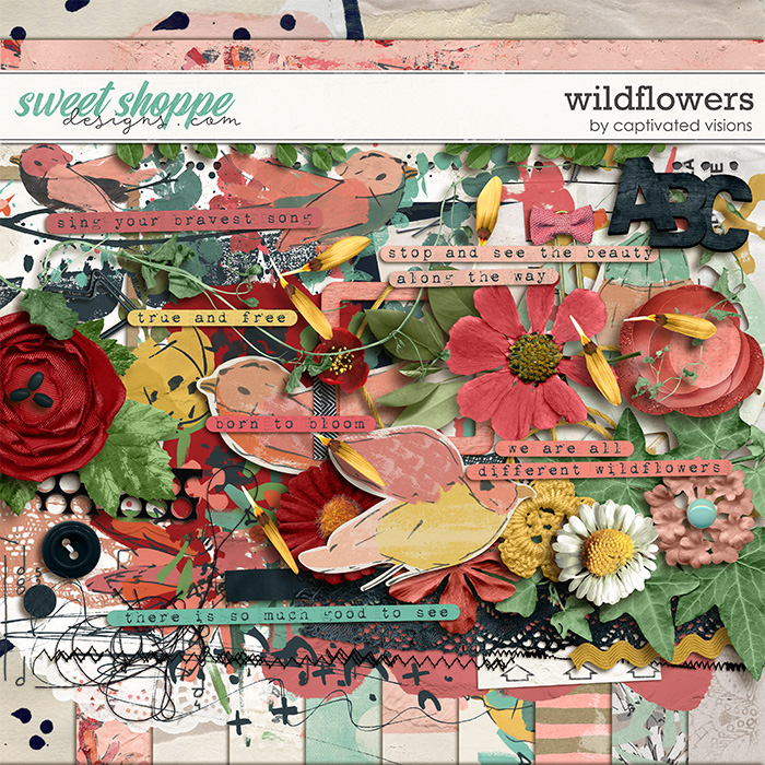 cvisions-wildflowers-700.jpg