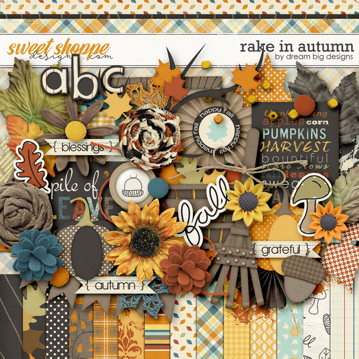 Rake In Autumn by Dream Big Designs Rake In Autumn by Dream Big Designs
