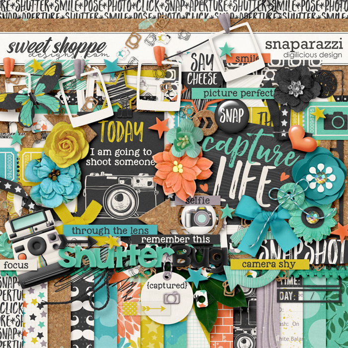Snaparazzi {Kit} by Digilicious Design