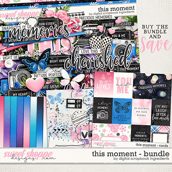 dsi-thismoment_bundle.jpg