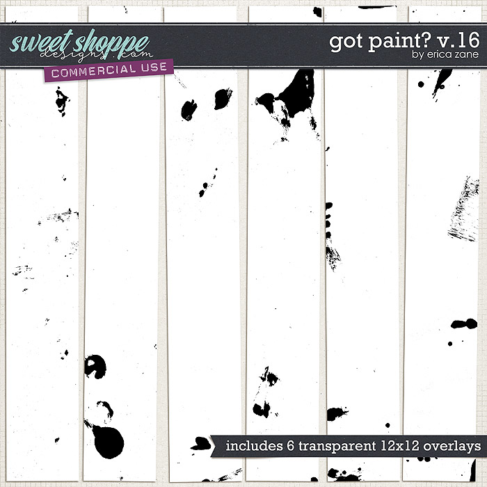 Got Paint? v.16 by Erica Zane