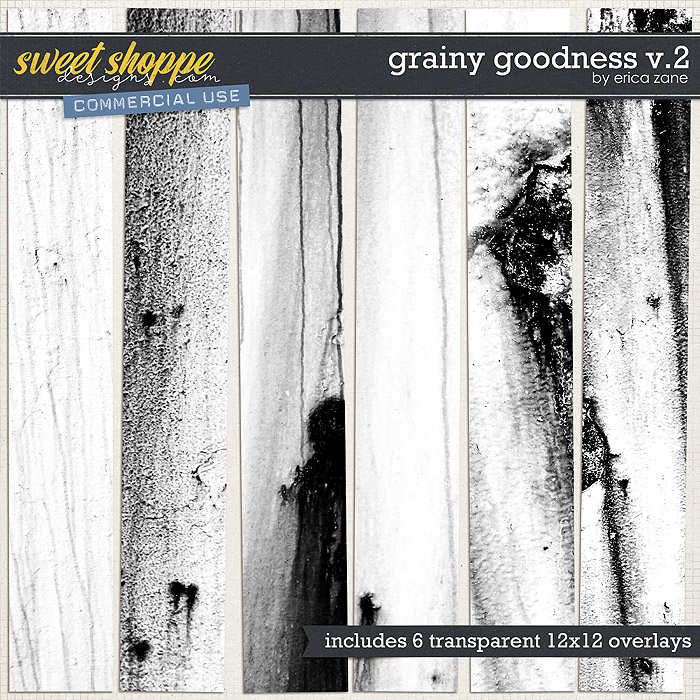 Grainy Goodness v.2 by Erica Zane