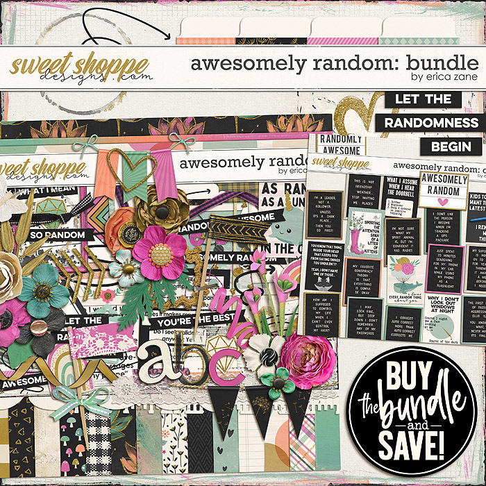 Awesomely Random: Bundle by Erica Zane