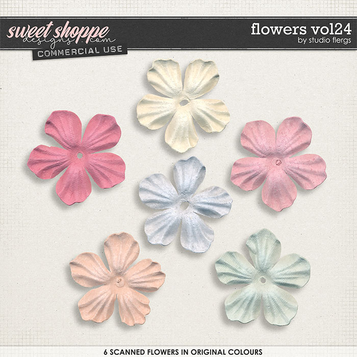 Flowers VOL 24 by Studio Flergs