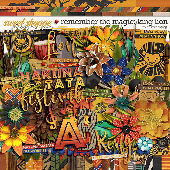 Remember the Magic: KING LION by Studio Flergs