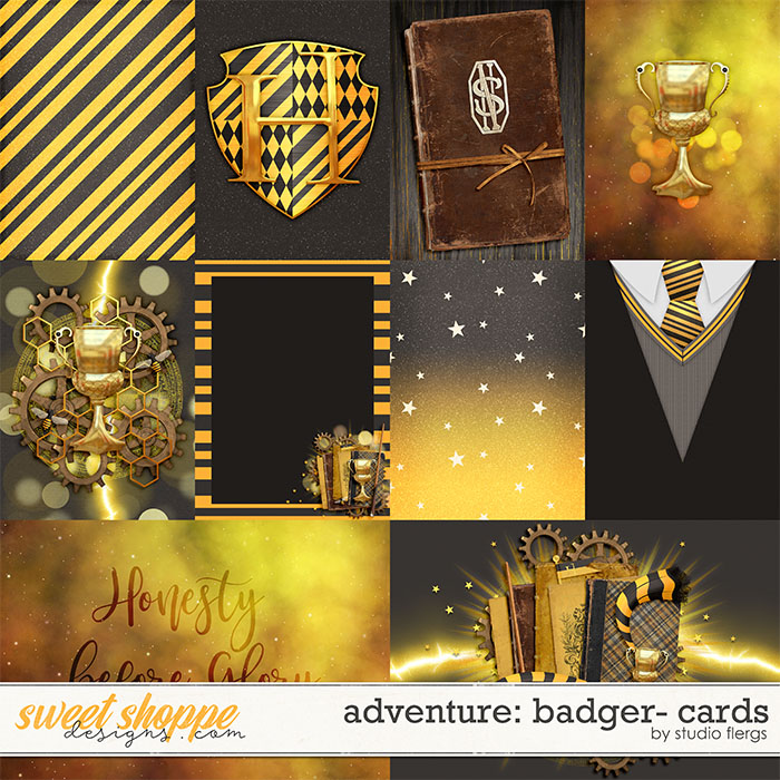 Adventure: Badger- CARDS by Studio Flergs