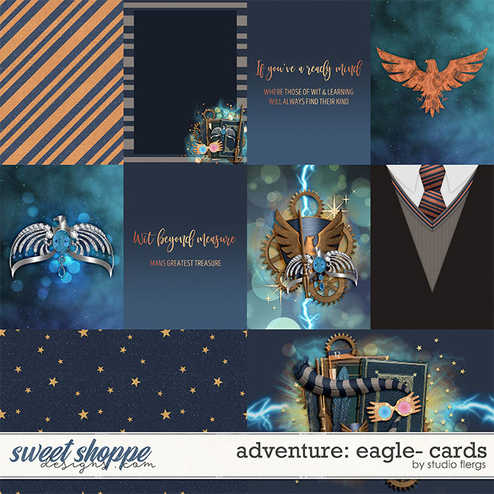 Adventure: Eagle- CARDS by Studio Flergs
