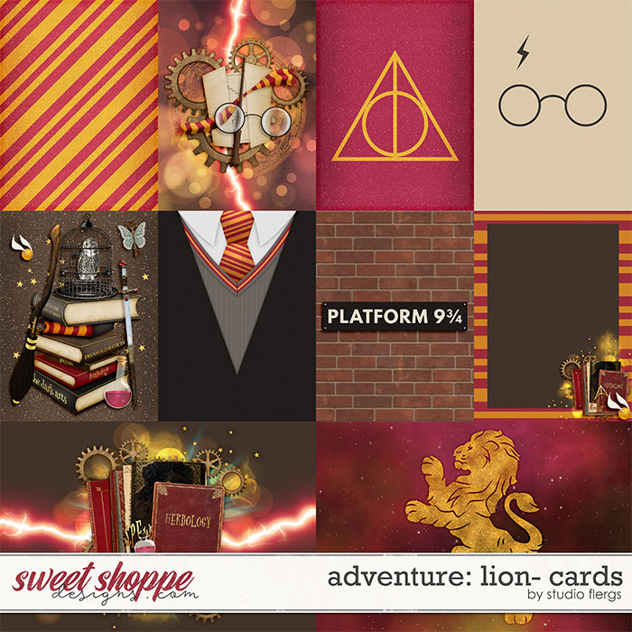 Adventure: Lion- CARDS by Studio Flergs