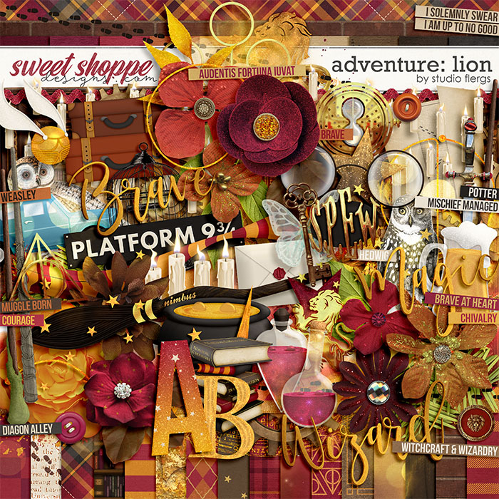 Adventure: Lion- by Studio Flergs