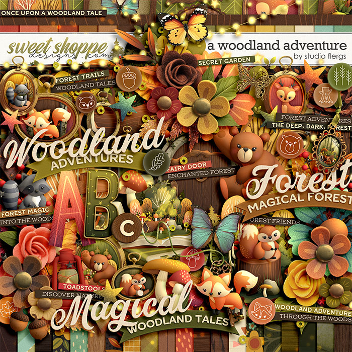 A Woodland Adventure by Studio Flergs