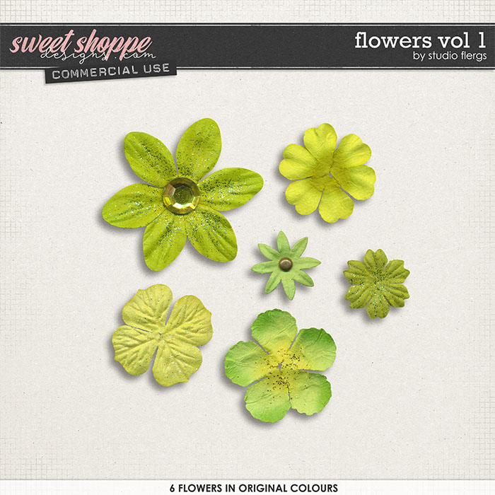 Flowers VOL 1 by Studio Flergs