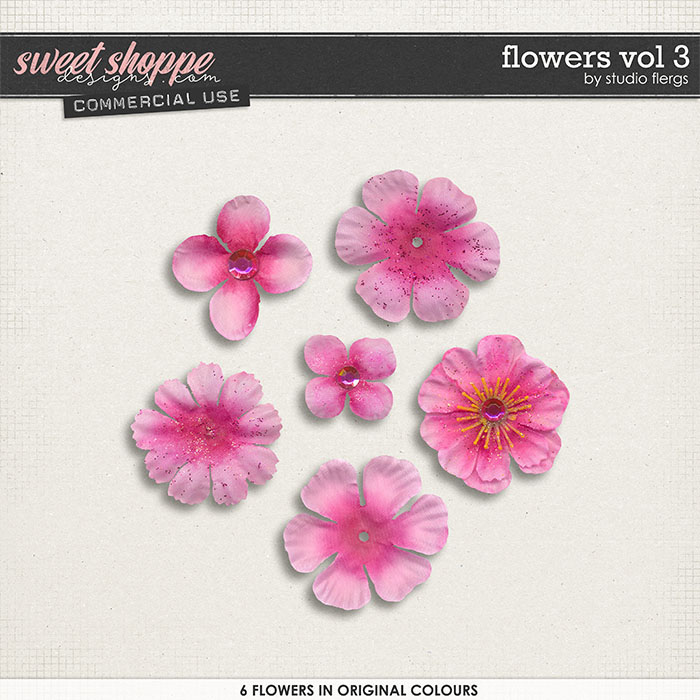 Flowers VOL 3 by Studio Flergs