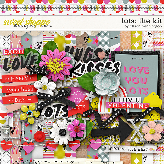 Lots: The Kit by Allison Pennington