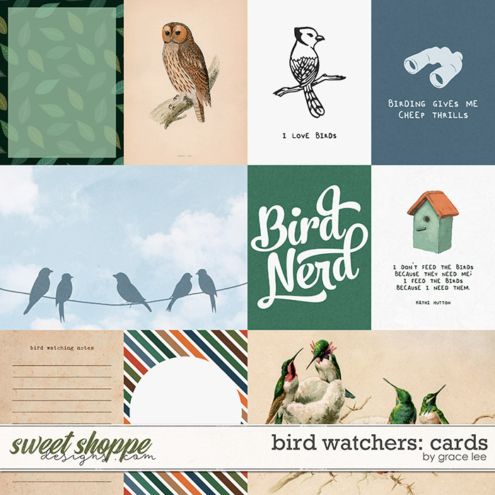 Bird Watchers: Cards by Grace Lee