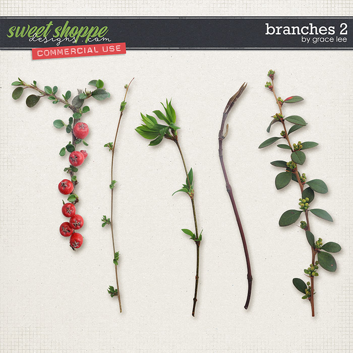 Branches 2 by Grace Lee