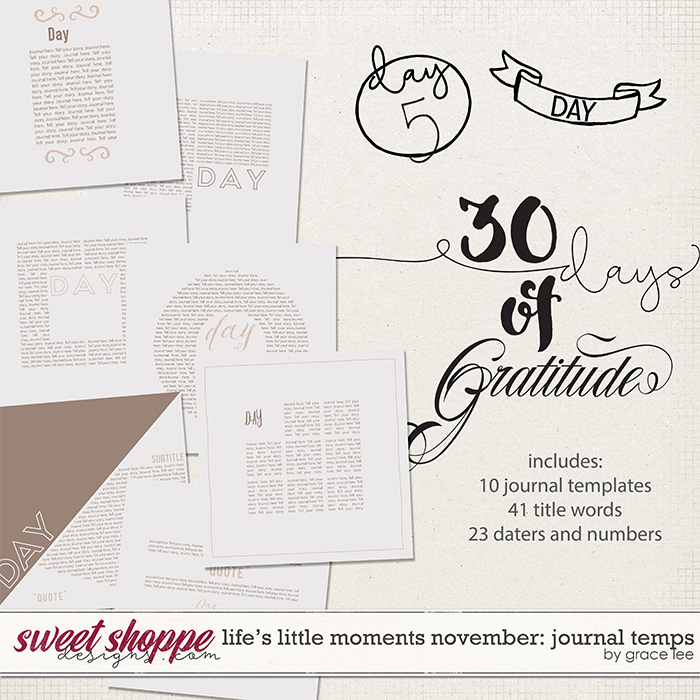 glee-lifeslittlemomentsnov-journalpreview.jpg