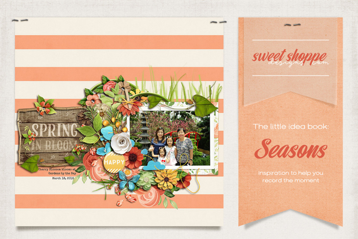 Sweet Shoppe's Little Idea Book: Seasons Sweet Shoppe's Little Idea Book: Seasons