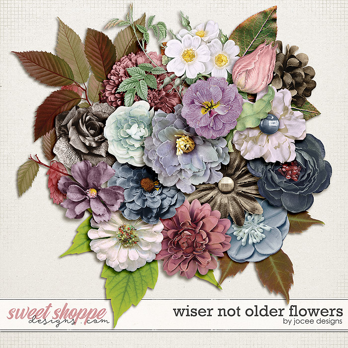 Wiser not Older Flowers by JoCee Designs