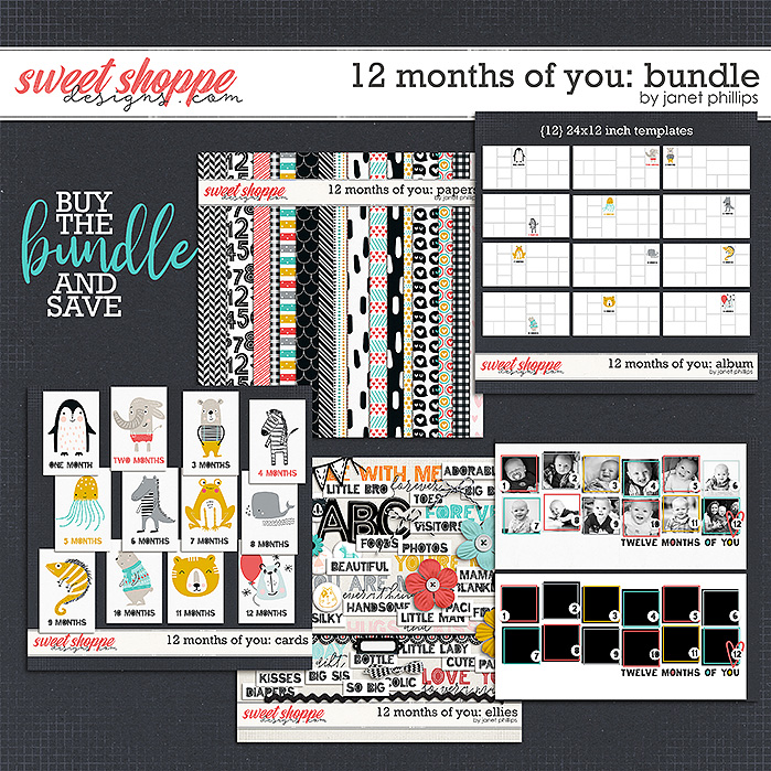 12 MONTHS OF YOU: THE BUNDLE by Janet Phillips