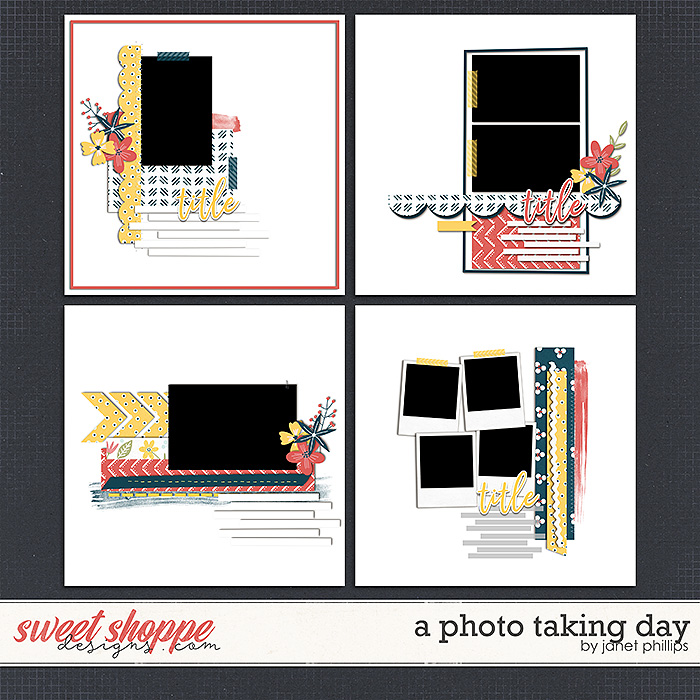 A PHOTO TAKING DAY by Janet Phillips A PHOTO TAKING DAY by Janet Phillips