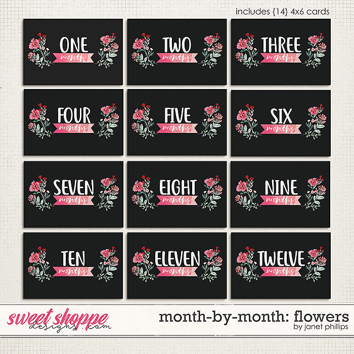 MONTH-BY-MONTH: FLOWERS by Janet Phillips MONTH-BY-MONTH: FLOWERS by Janet Phillips