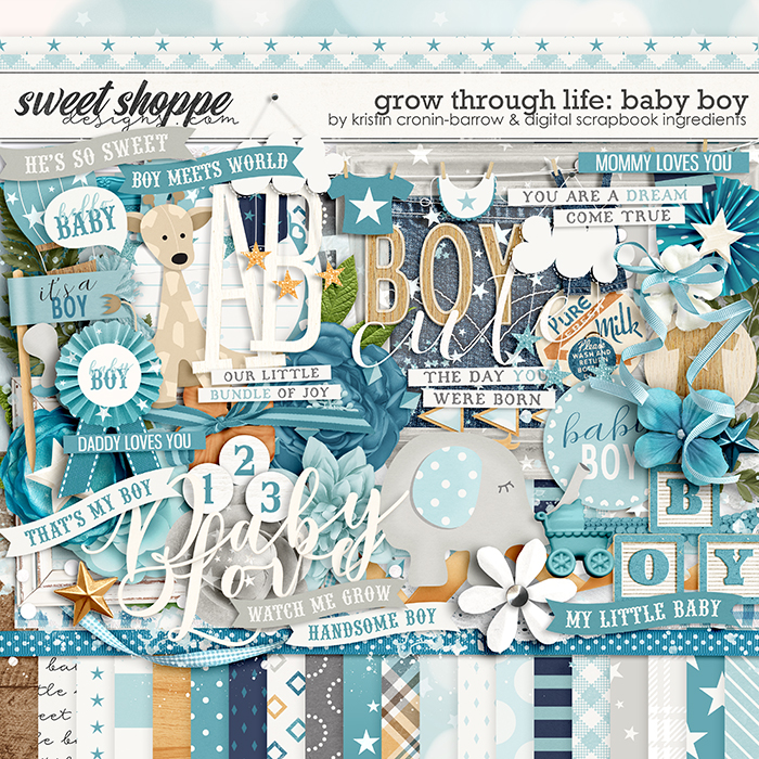 kcbdsi-growthroughlife-babyboy-preview.jpg