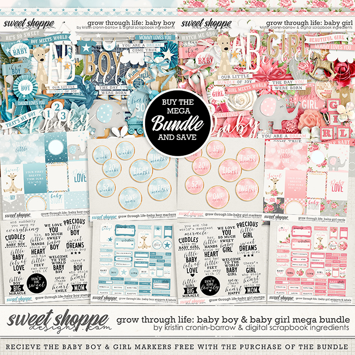 kcbdsi-growthroughlife-megabundle-preview.jpg