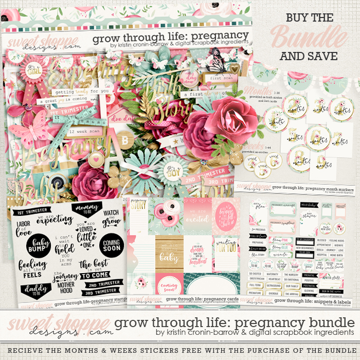 kcbdsi-growthroughlife-pregnancy-bundlepreview.jpg