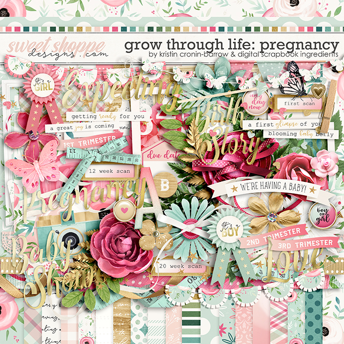 kcbdsi-growthroughlife-pregnancy-preview.jpg