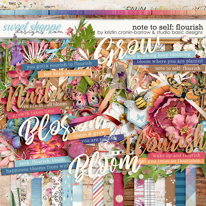 Note To Self: Flourish Kit by Kristin Cronin-Barrow & Studio Basic
