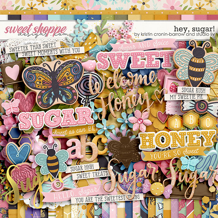 Hey, Sugar! by Kristin Cronin-Barrow and Studio Liv