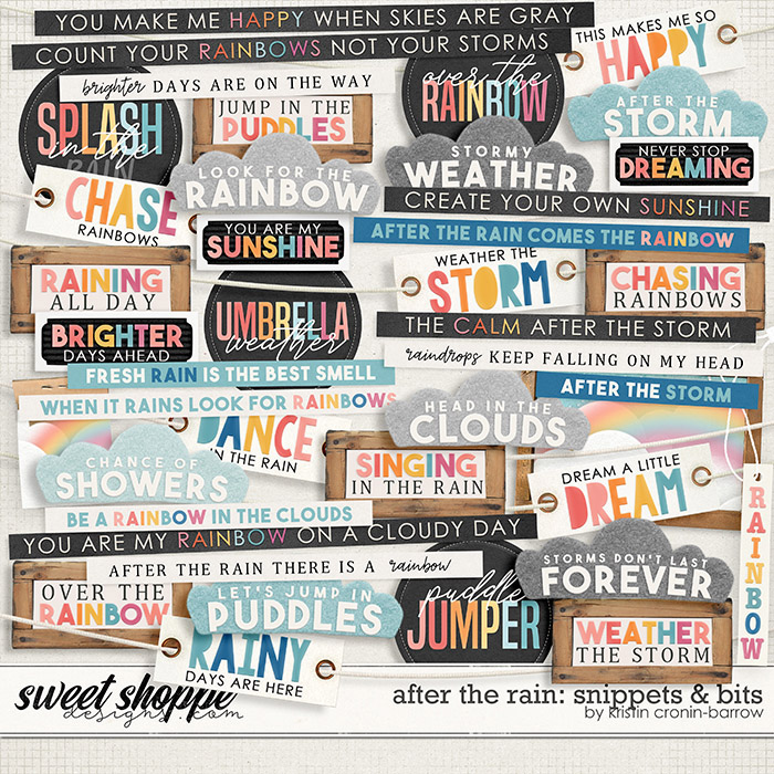 After the Rain: Snippets and Bits by Kristin Cronin-Barrow After the Rain: Snippets and Bits by Kristin Cronin-Barrow