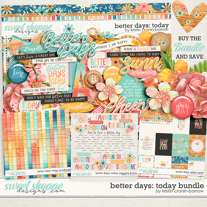 Better Days: Today Bundle by Kristin Cronin-Barrow