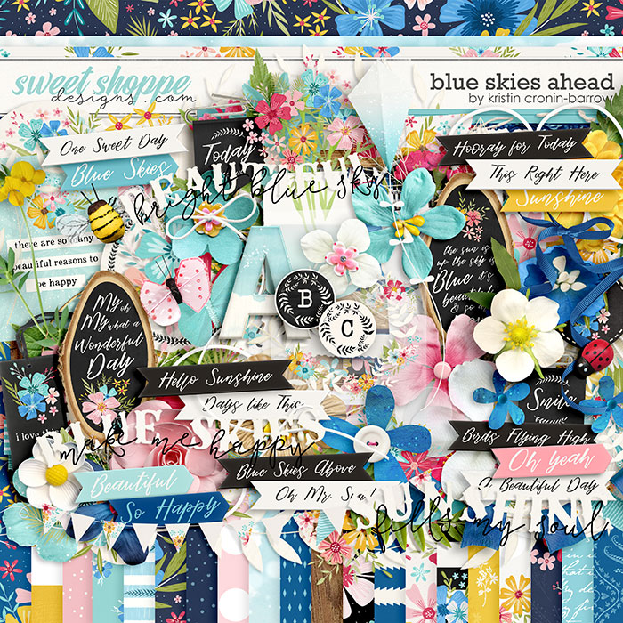 Blue Skies Ahead by Kristin Cronin-Barrow