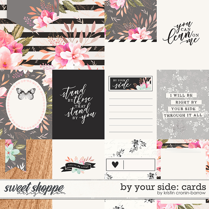 By Your Side: Cards by Kristin Cronin-Barrow 