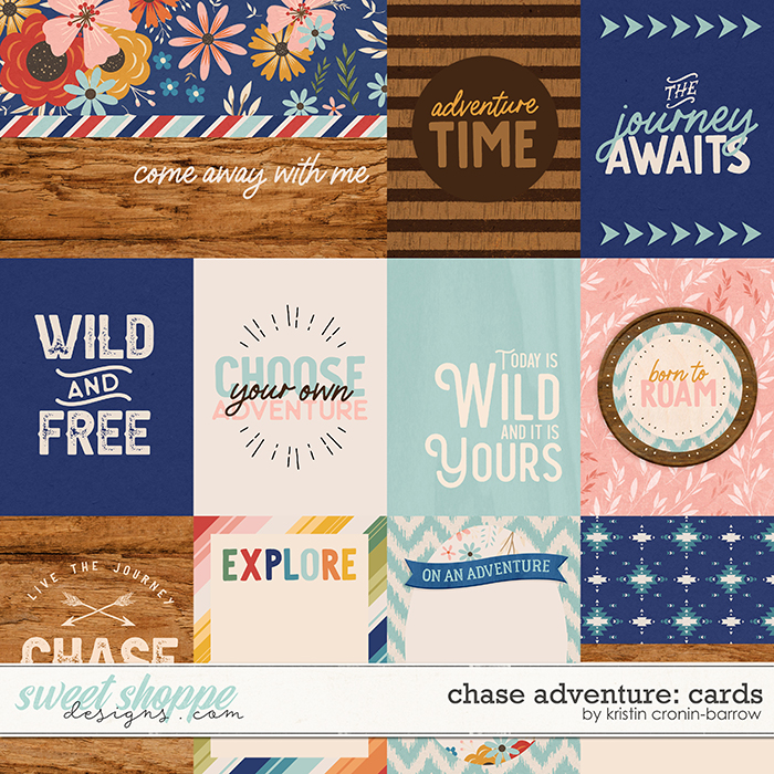 Chase Adventure: Cards by Kristin Cronin-Barrow