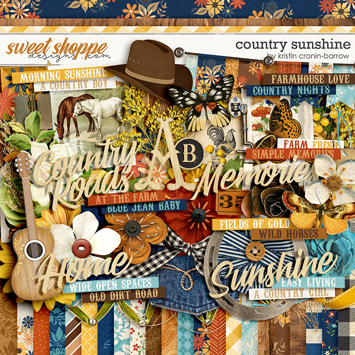 Country Sunshine by Kristin Cronin-Barrow