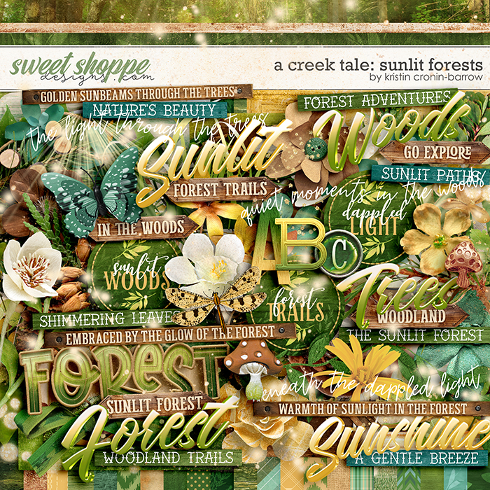 A Creek Tale: Sunlit Forets by Kristin Cronin-Barrow