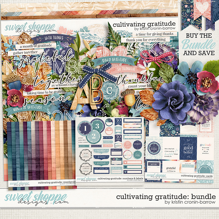 Cultivating Gratitude Bundle by Kristin Cronin-Barrow