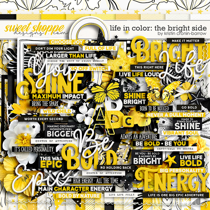 Life in Color: The Bright Side by Kristin Cronin-Barrow