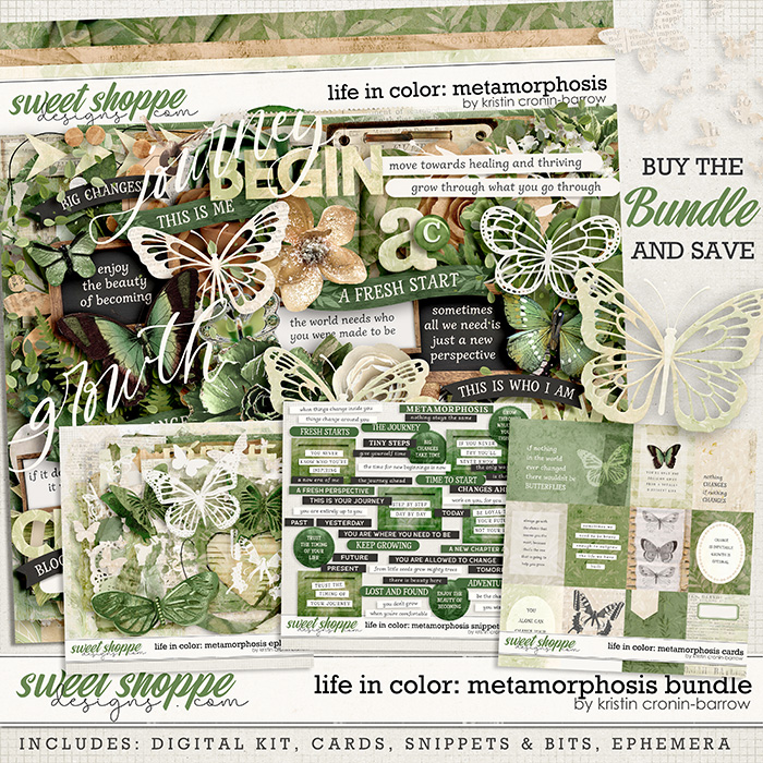 Life in Color: Metamorphosis bundle by Kristin Cronin-Barrow