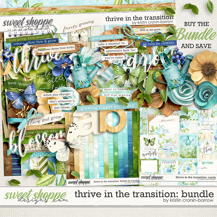 Thrive in the Transition: Bundle by Kristin Cronin-Barrow