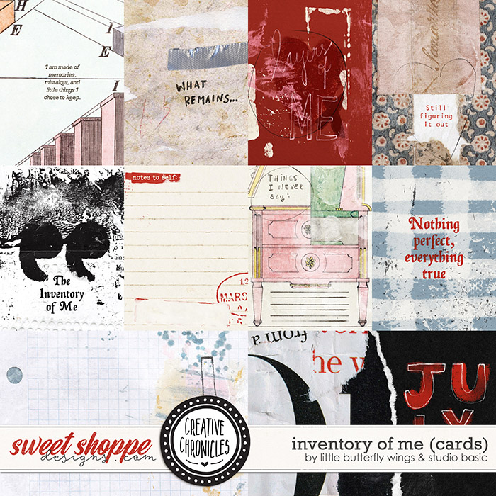 Creative Chronicles: Inventory Of Me Cards by Little Butterfly Wings & Studio Basic