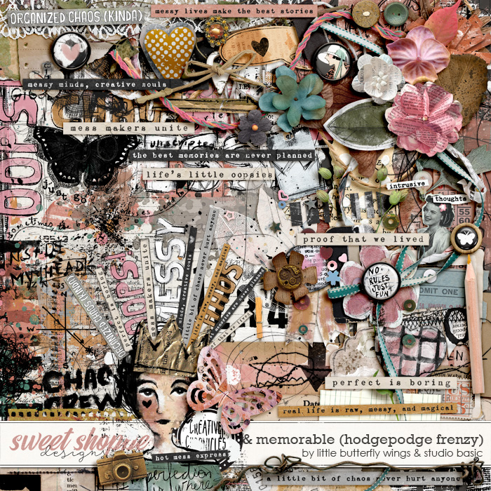 Creative Chronicles: Messy & Memorable Hodgepodge Frenzy by Little Butterfly Wings & Studio Basic