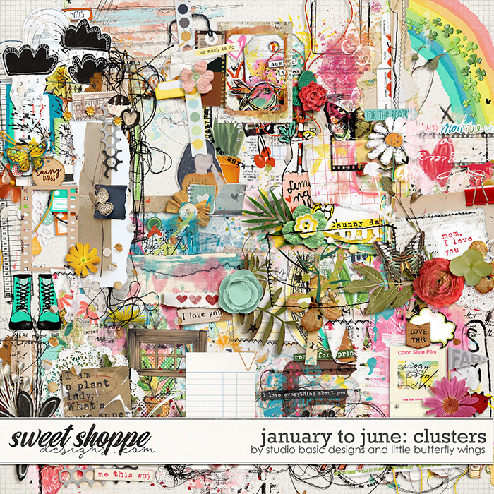 January To June: Clusters by Studio Basic & Little Butterfly Wings