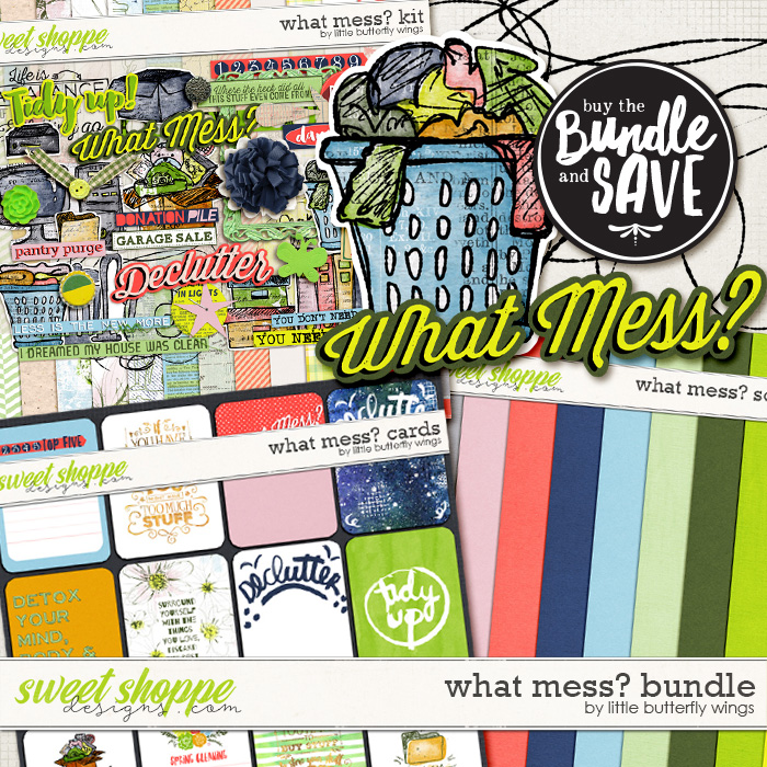 What mess? Bundle by Little Butterfly Wings
